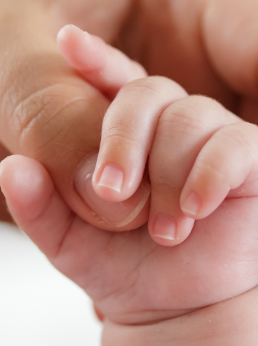paternidad